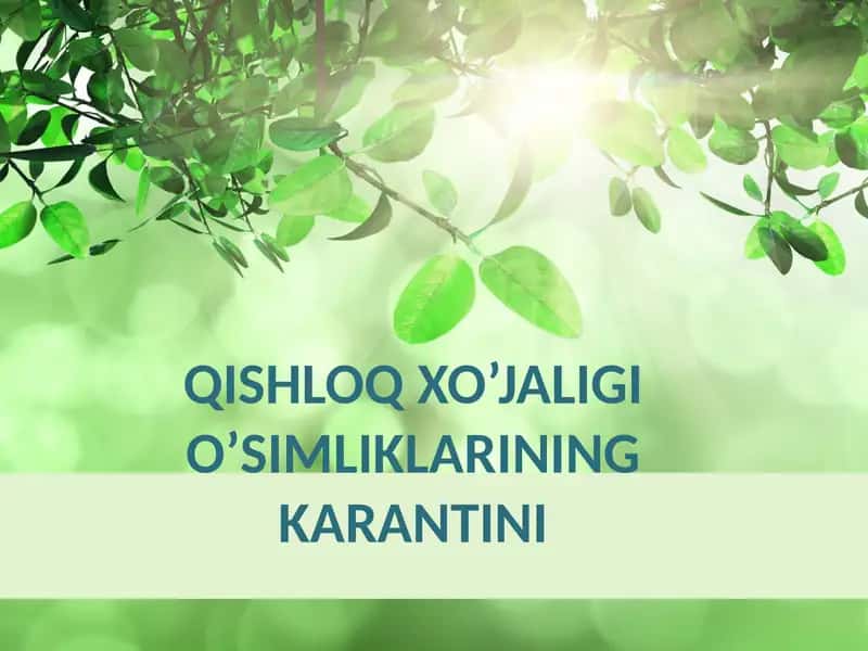 Qishloq xo’jaligi o’simliklarining karantini