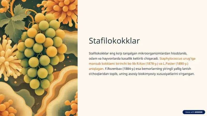 Stafilokokklar