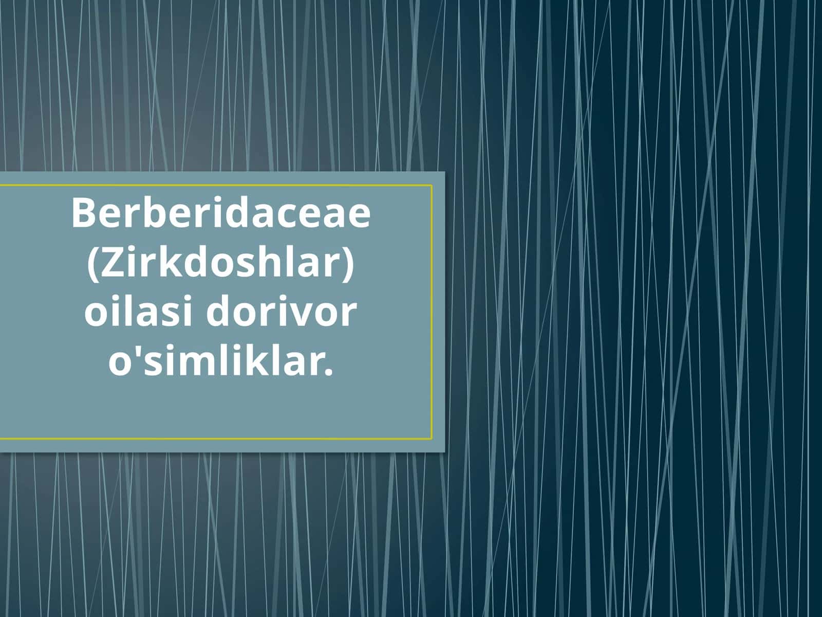 Zirkdoshlar Oilasi