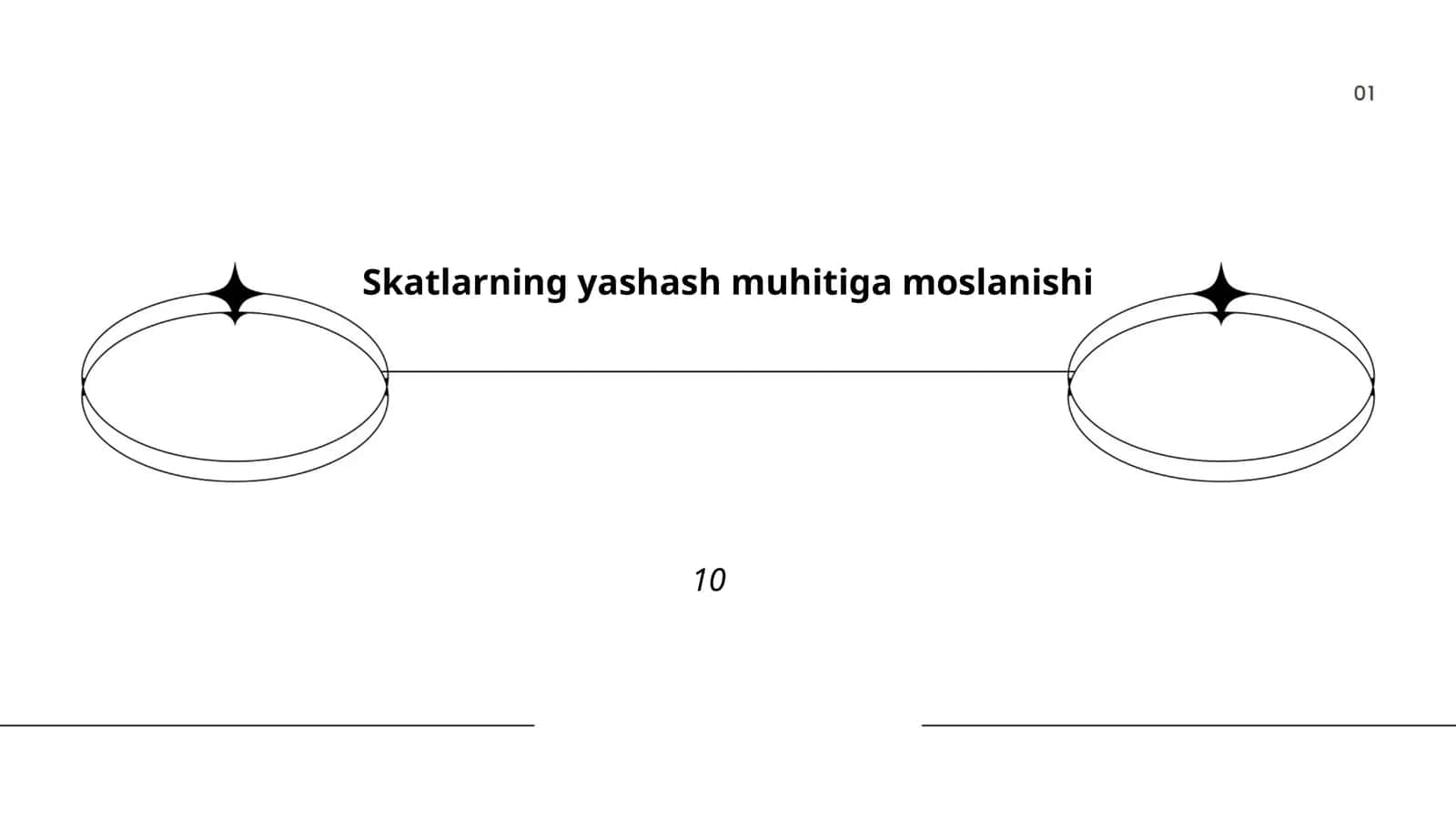 Skatlarning yashash muhitiga moslanishi