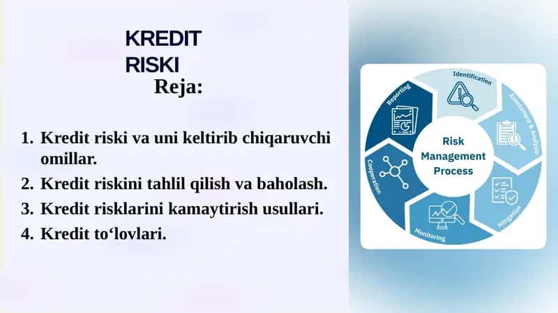 KREDIT RISKI