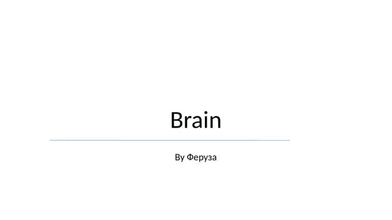 Brain