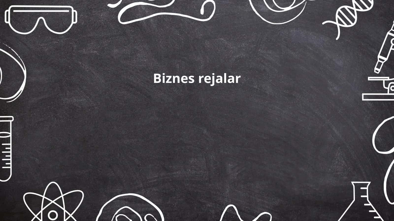 Biznes rejalar