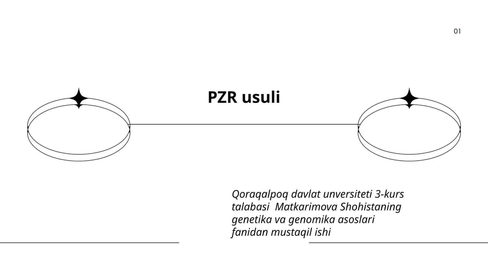 PZR usuli