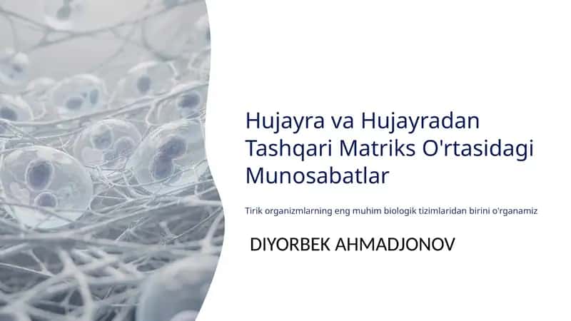 Hujayra va Hujayradan Tashqari Matriks O'rtasidagi Munosabatlar