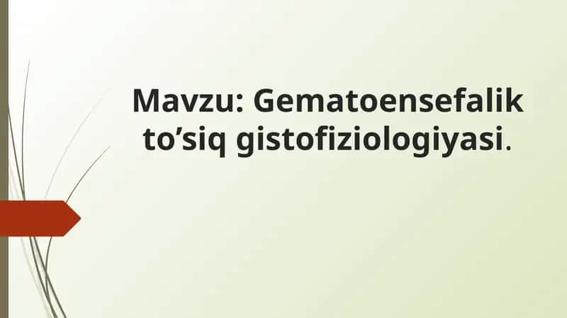 Gematoensefalik to’siq gistofiziologiyasi