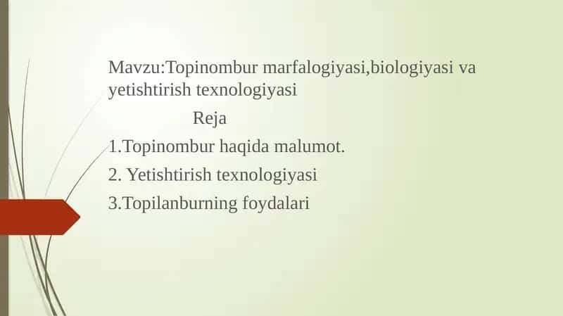 Topinombur marfalogiyasi, biologiyasi va yetishtirish texnologiyasi