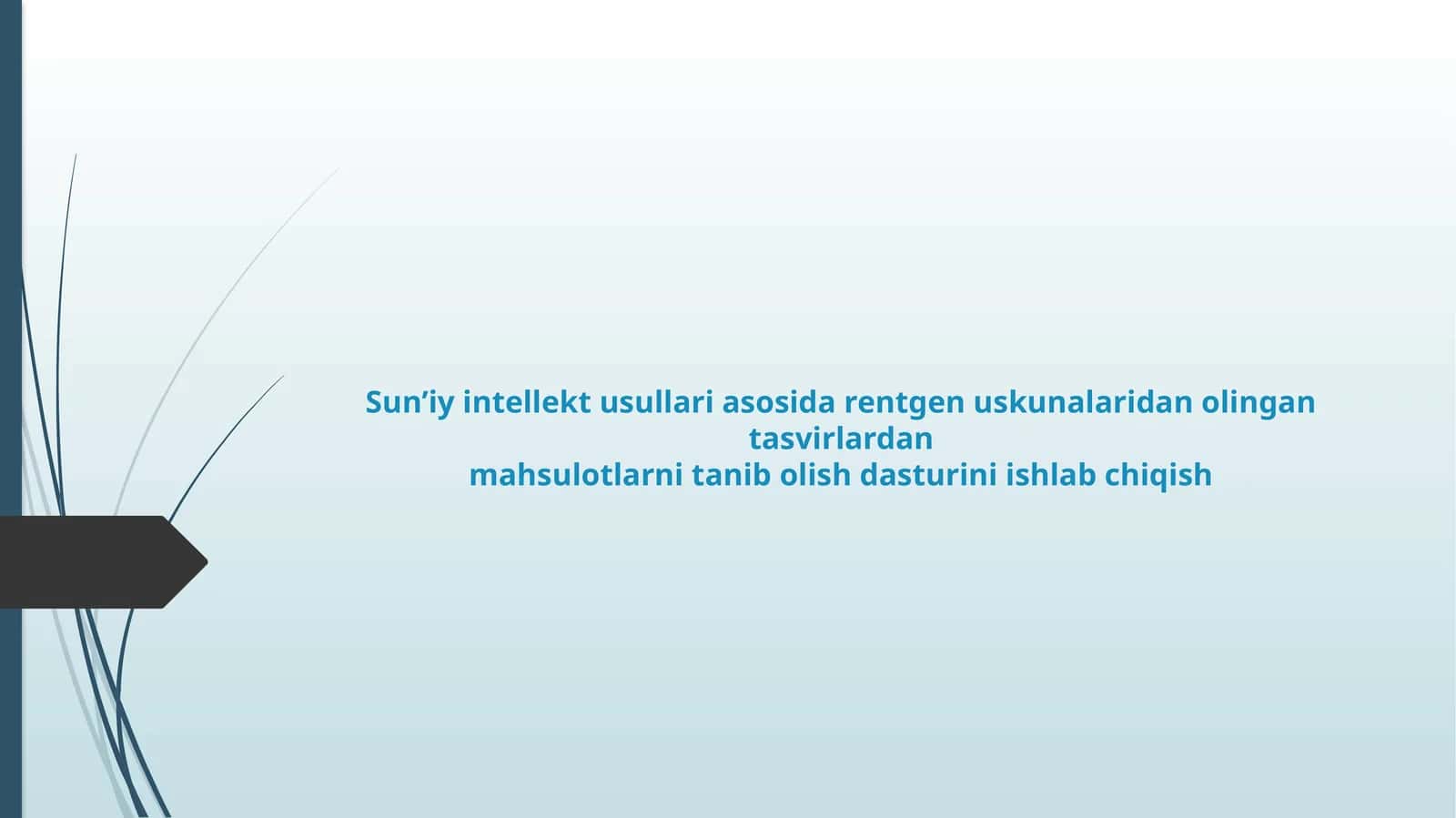 Sun’iy intellekt usullari asosida rentgen uskunalaridan olingan tasvirlardan mahsulotlarni tanib olish dasturini ishlab chiqish