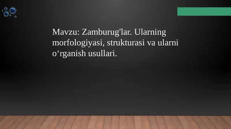 Zamburug'lar. Ularning morfologiyasi, strukturasi va ularni oʻrganish usullari.