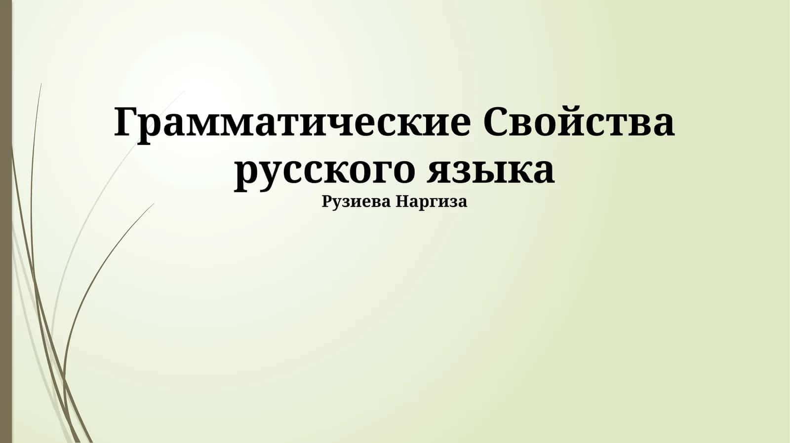 Грамматические Свойства русского языка