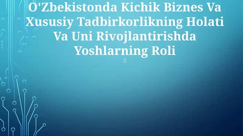 O'Zbekistonda Kichik Biznes Va Xususiy Tadbirkorlikning Holati Va Uni Rivojlantirishda Yoshlarning Roli
