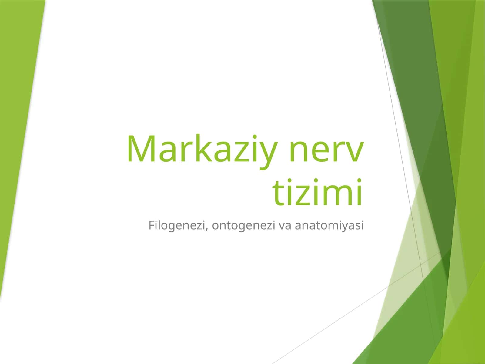 Markaziy nerv tizimi