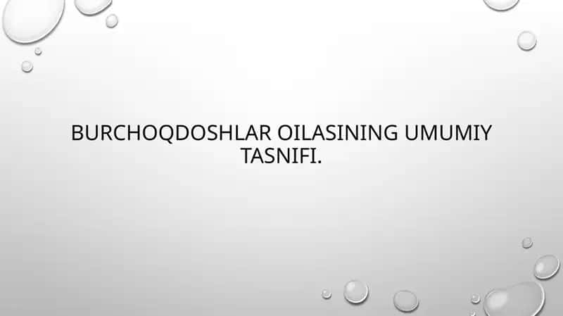 Burchoqdoshlar oilasining umumiy tasnifi