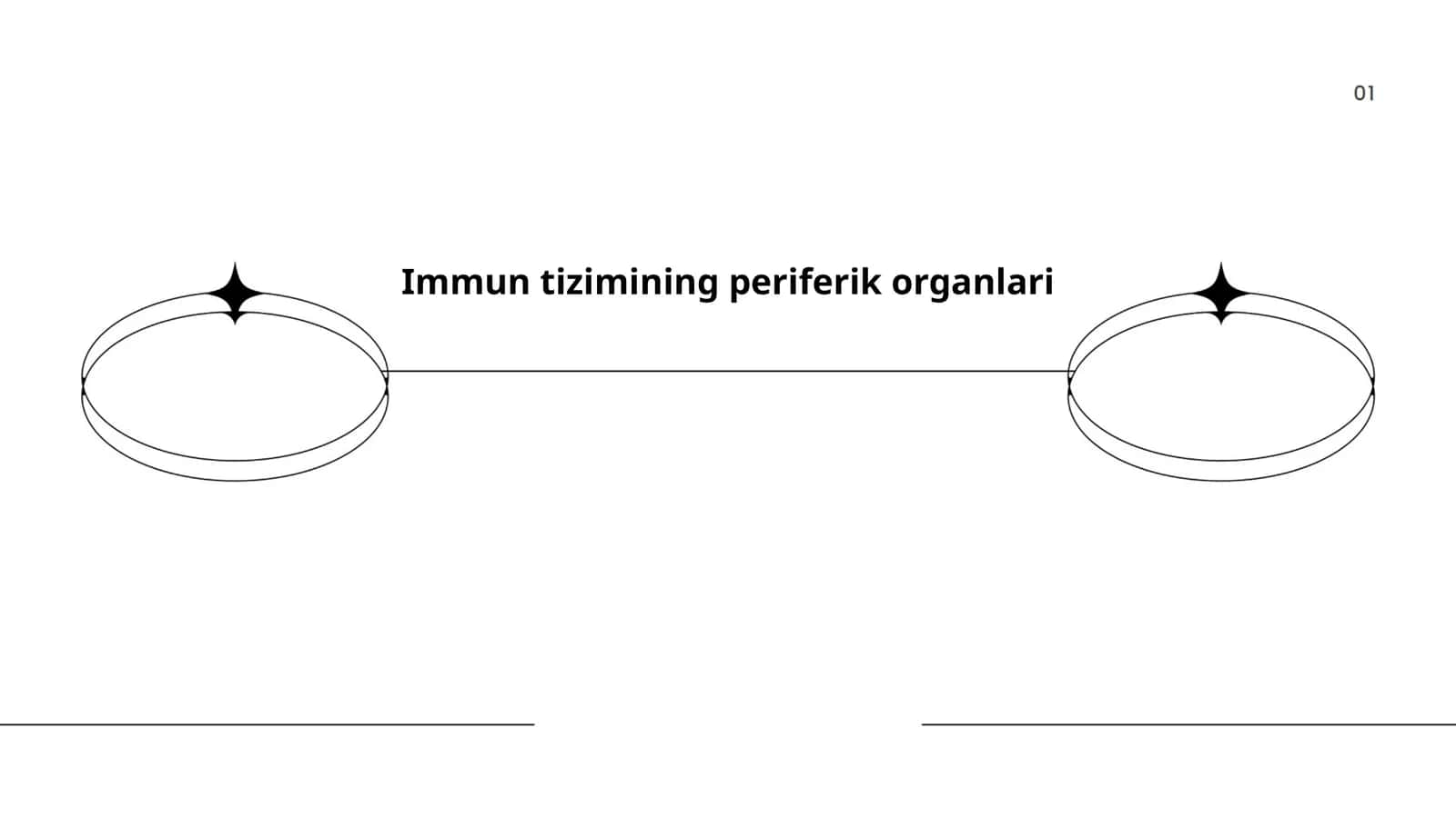 Immun tizimining periferik organlari