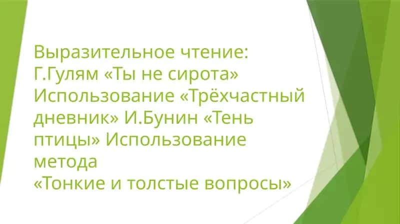 Выразительное чтение Г.Гулям «Ты не сирота» Использование «Трёхчастный дневник» И.Бунин «Тень птицы» Использование метода «Тонкие и толстые вопросы»