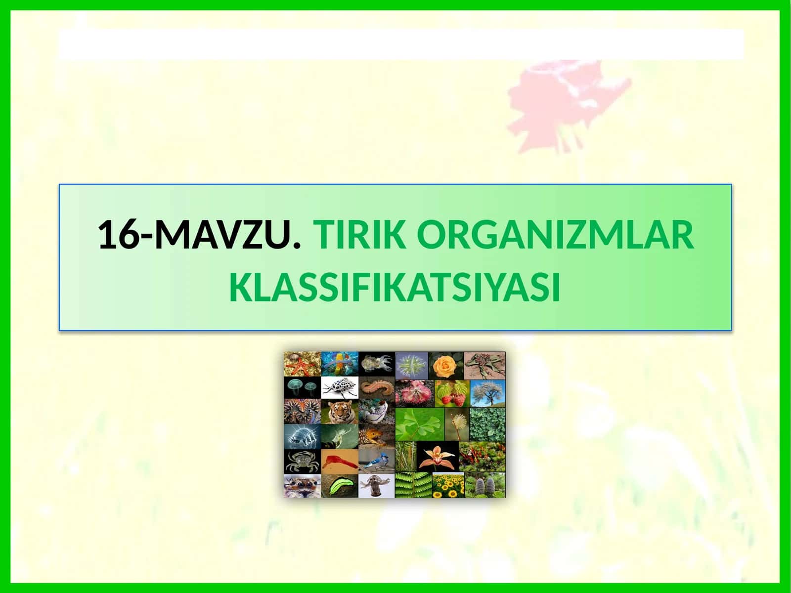 TIRIK ORGANIZMLAR KLASSIFIKATSIYASI