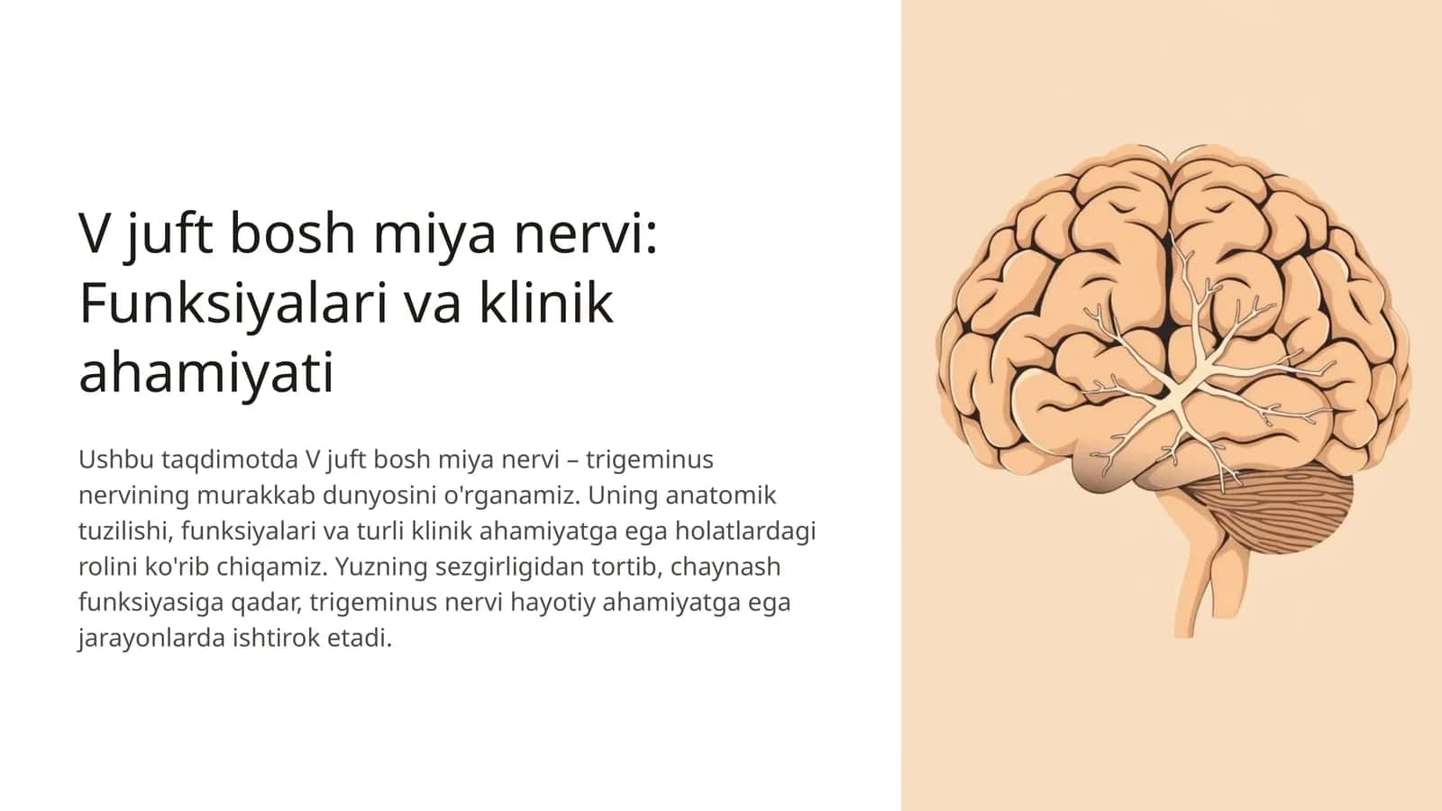 V juft bosh miya nervi: Funksiyalari va klinik ahamiyati