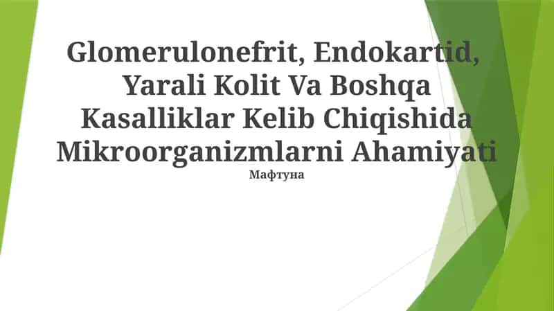 Mikroorganizmlar insonning keng ko'lamli kasalliklarini, jumladan glomerulonefrit, endokardit va yallig'lanishli ichak kasalliklarini keltirib chiqarishda muhim rol o'ynaydi