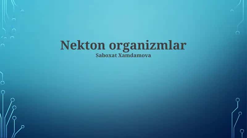 Nekton organizmlar