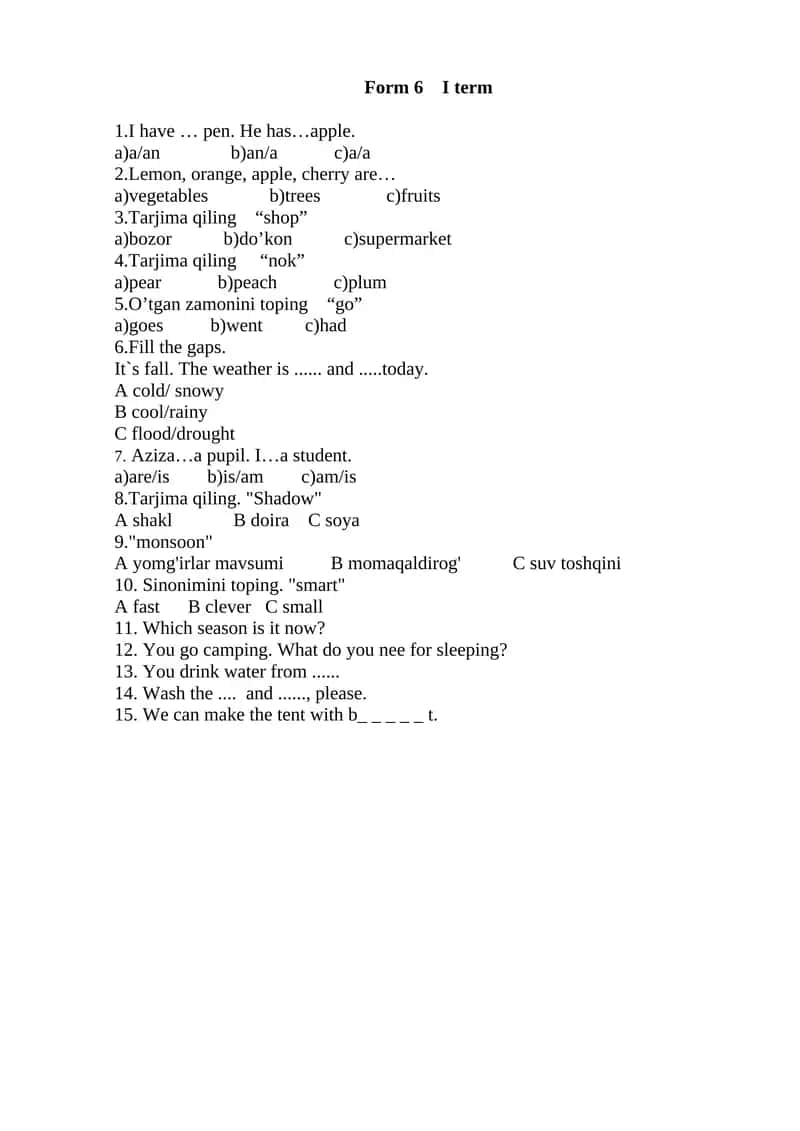Form 6 I term