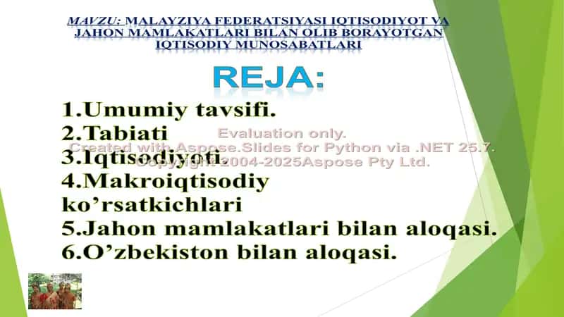 Malayziya federatsiyasi iqtisodiyot va jahon mamlakatlari bilan olib borayotgan iqtisodiy munosabatlari