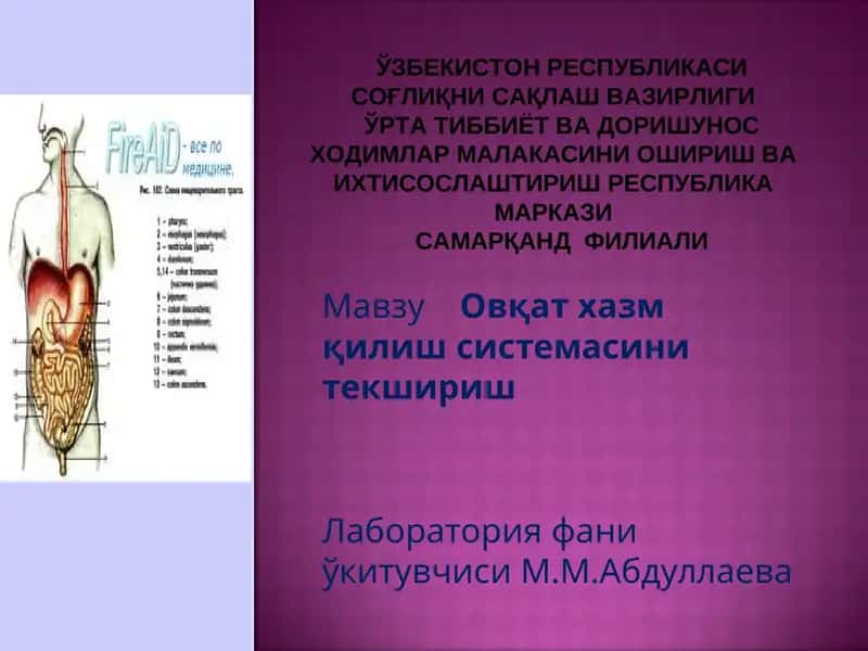 Овқат хазм қилиш системасини текшириш