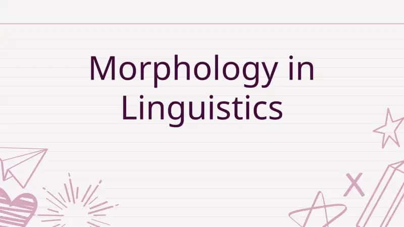 Morphological Typology in Linguistics