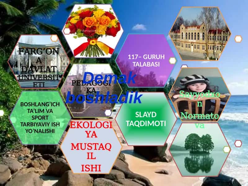 QizilKitob