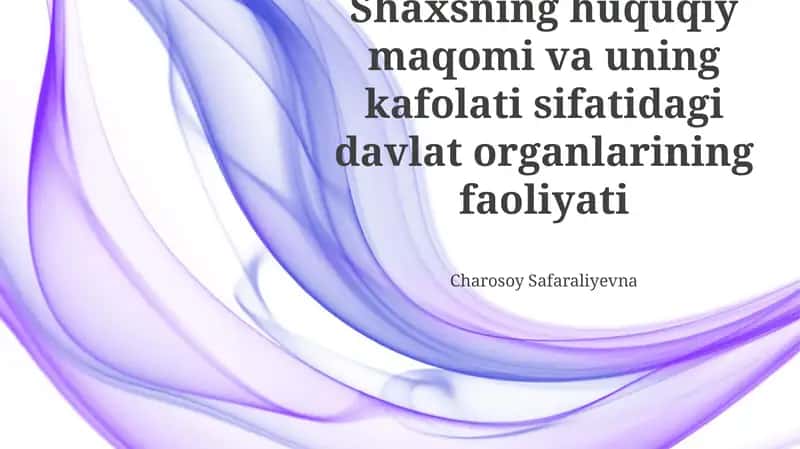 Shaxsning huquqiy maqomi va uning kafolati sifatidagi davlat organlarining faoliyati