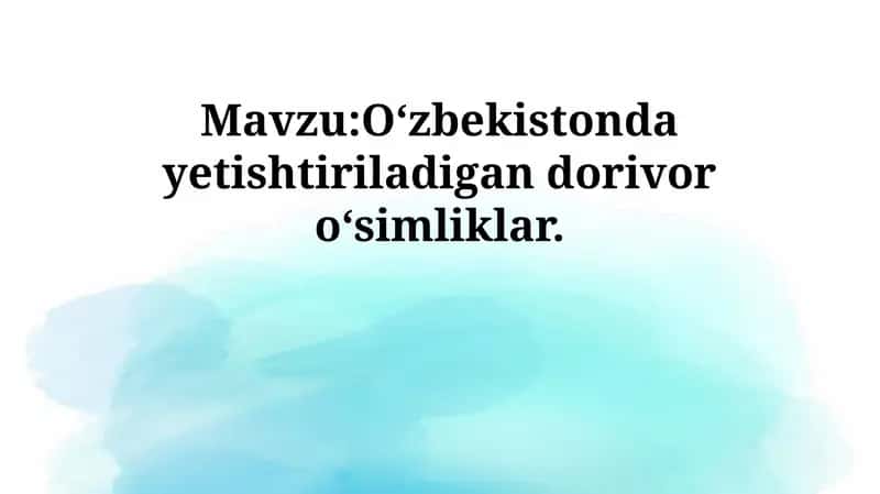 O‘zbekistonda yetishtiriladigan dorivor o‘simliklar