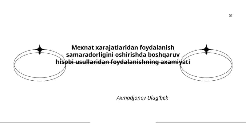 Mexnat xarajatlaridan foydalanish samaradorligini oshirishda boshqaruv hisobi usullaridan foydalanishning axamiyati