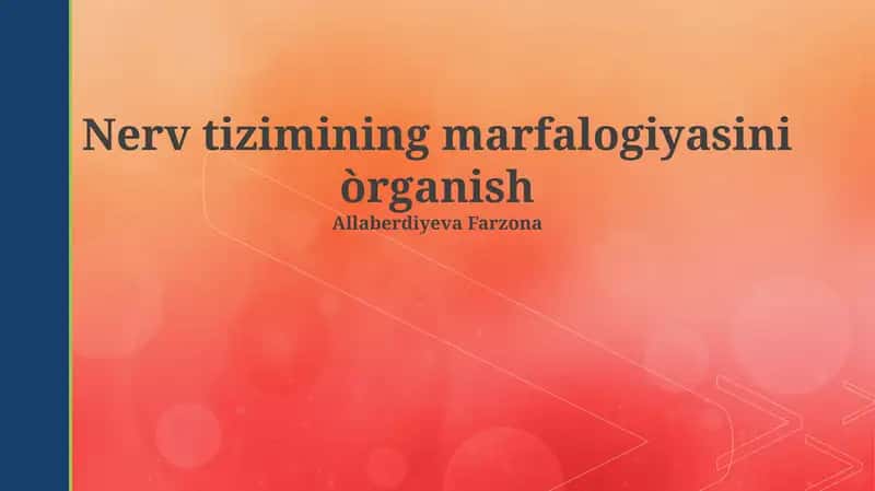 Nerv tizimining marfalogiyasini òrganish
