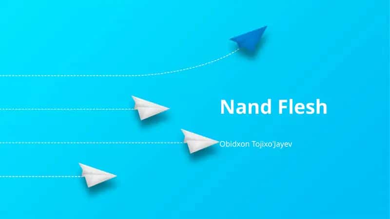 Nand Flesh