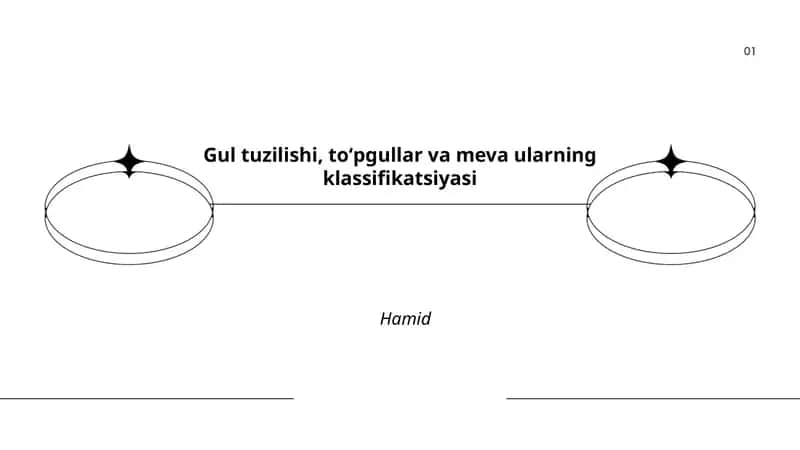 Gulning tashqi va ichki tuzilishi