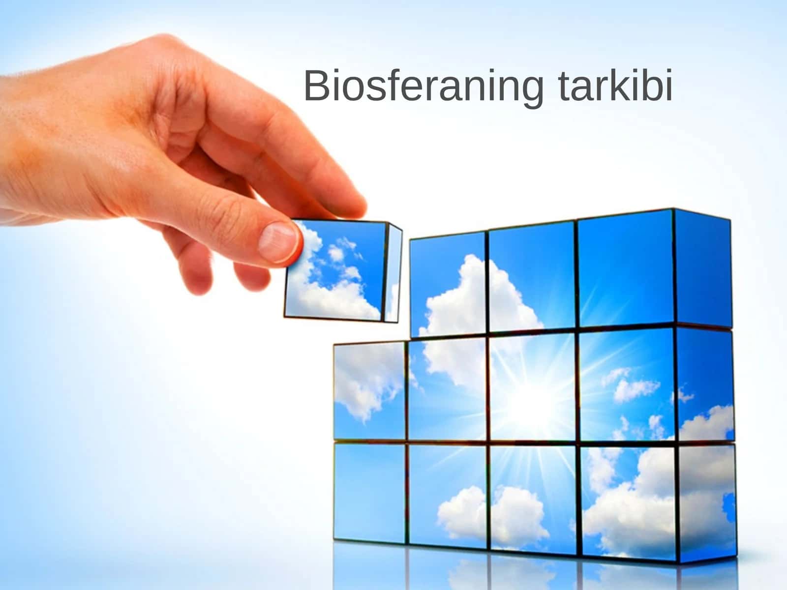 Biosferaning tarkibi