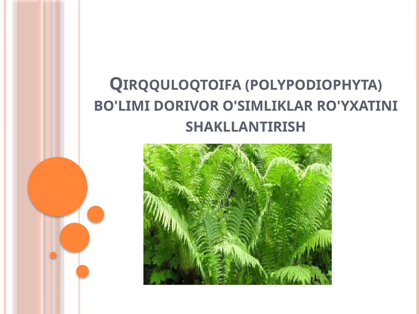 Qirqquloqtoifa (polypodiophyta) bo'limi dorivor o'simliklar ro'yxatini shakllantirish