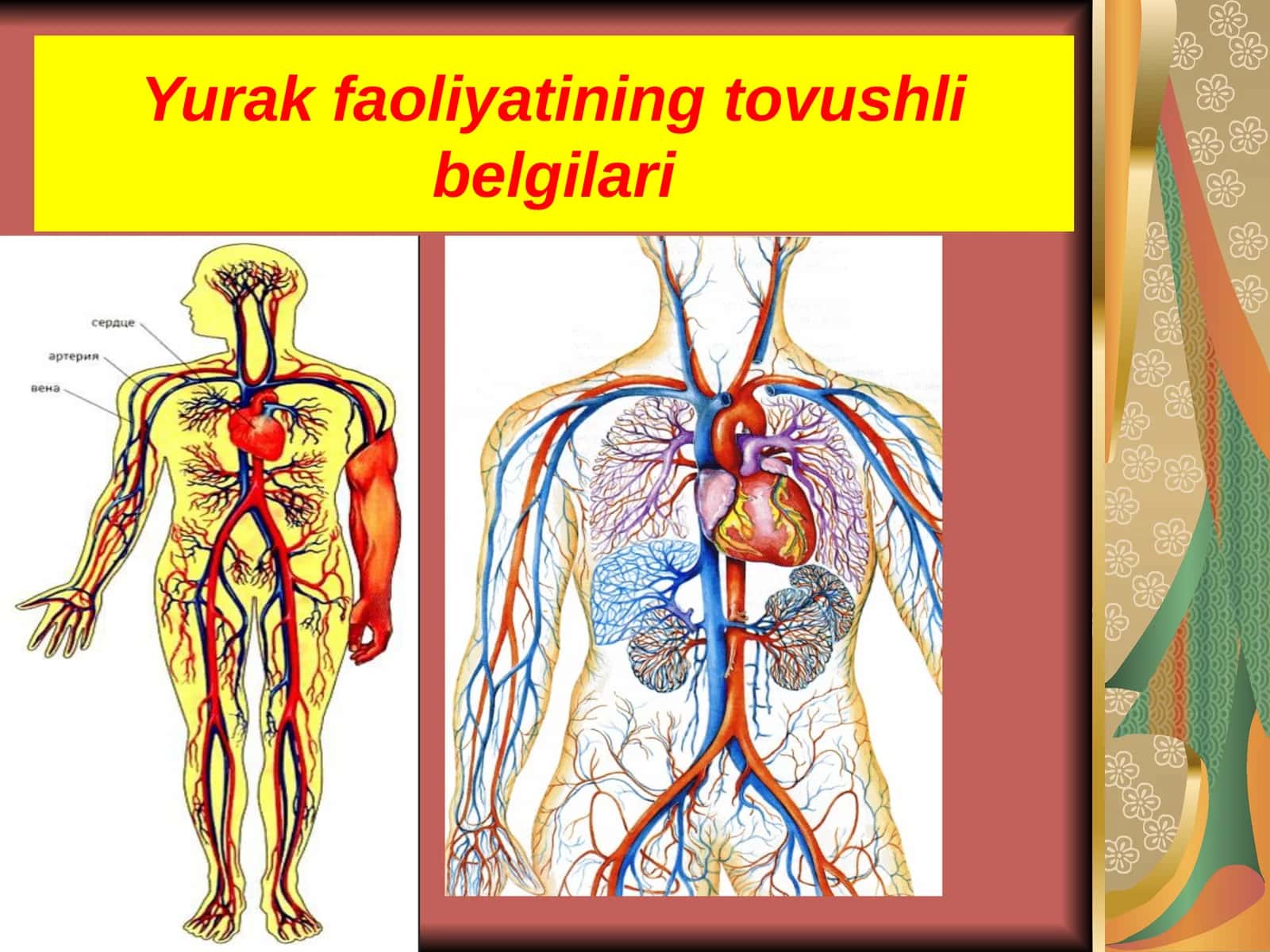 Yurak faoliyatining tovushli belgilari
