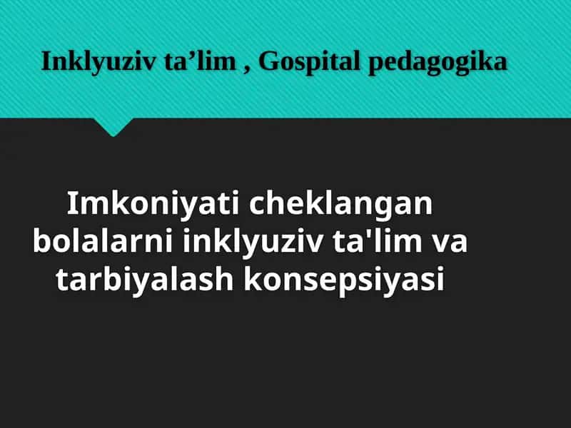 Imkoniyati cheklangan bolalarni inklyuziv ta'lim va tarbiyalash konsepsiyasi