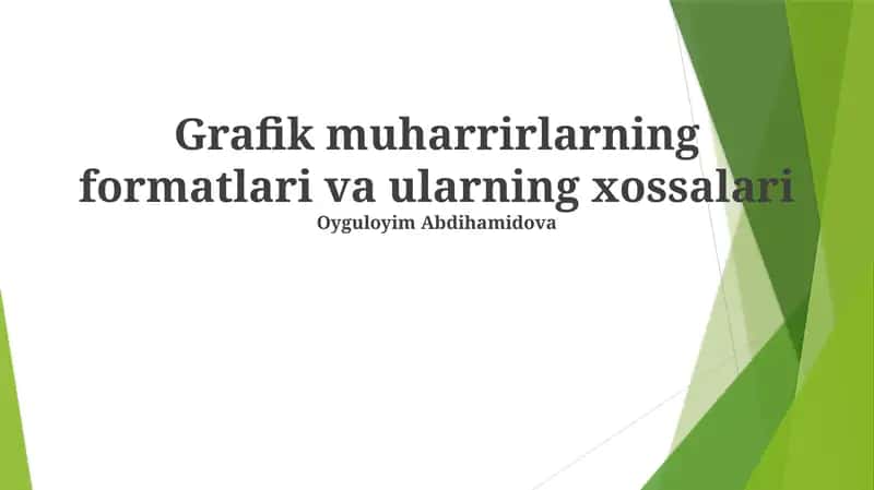 Grafik muharrirlarning formatlari va ularning xossalari