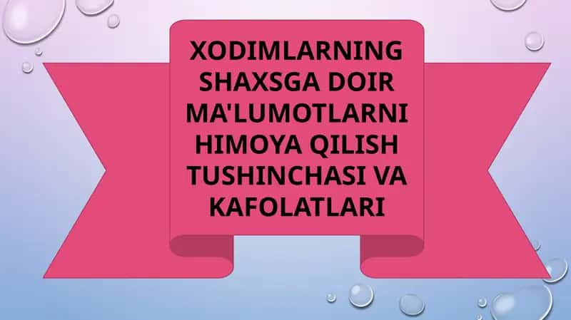 Xodimlarning Shaxsga Doir Ma'lumotlarni Himoq Qilish Tushunchasi va Kafolatlari