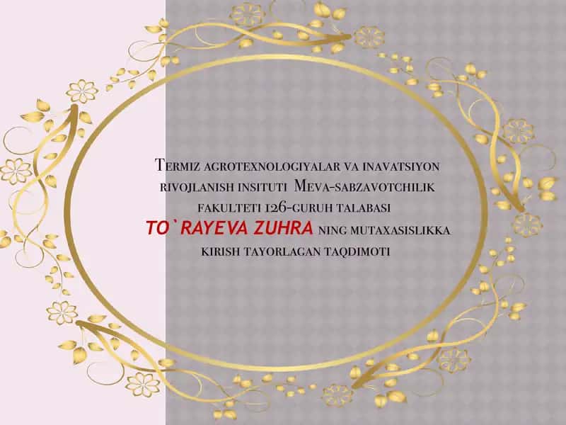 TO`RAYEVA ZUHRA ning mutaxasislikkakirishtayorlagan taqdimoti