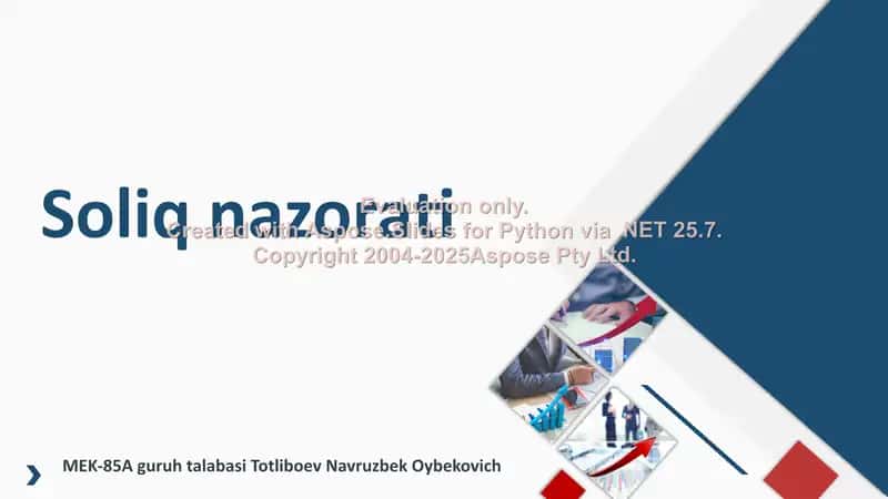 Soliq nazorati