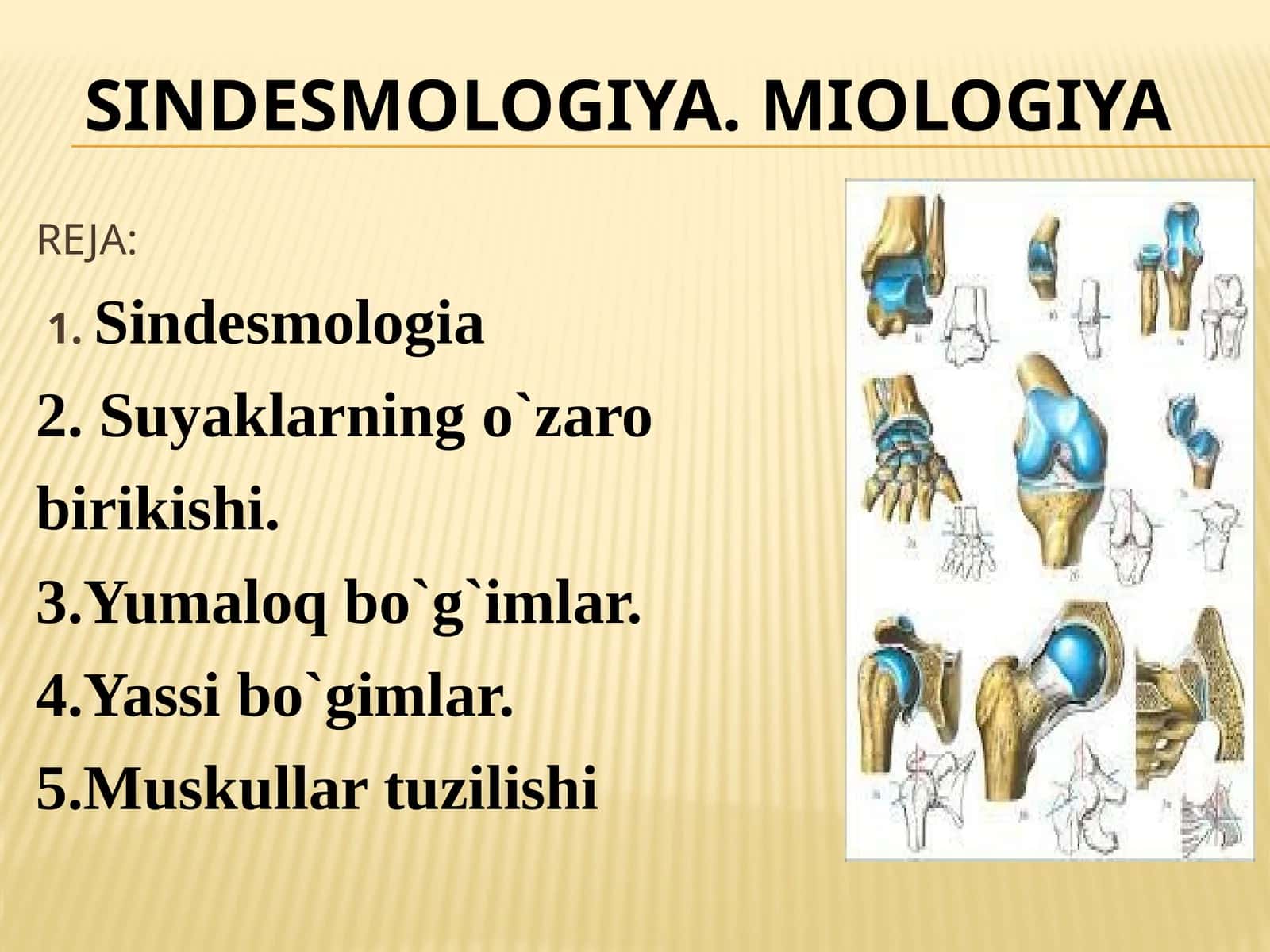 sindesmologiya. miologiya