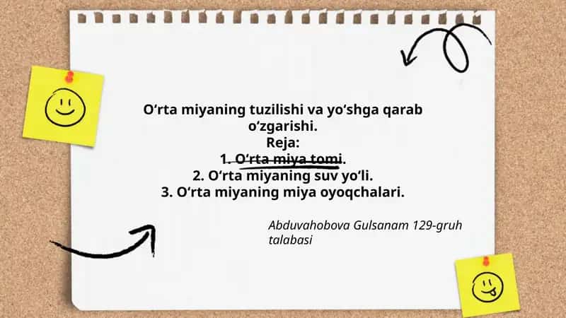 Oʻrta miyaning tuzilishi va yoʻshga qarab oʻzgarishi
