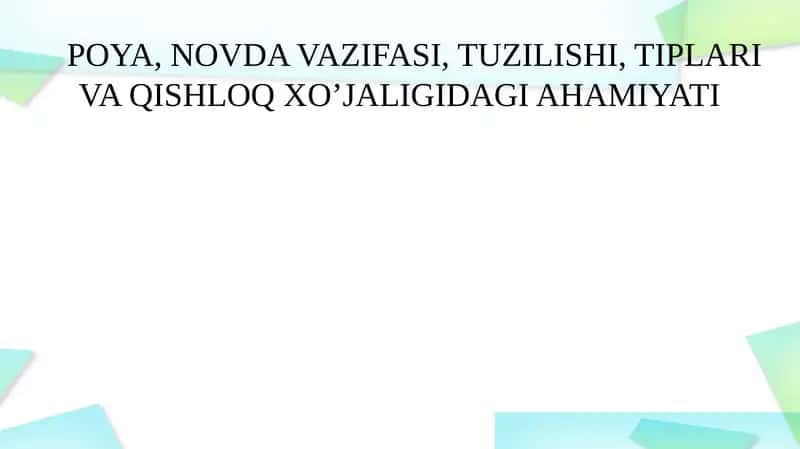 Novda