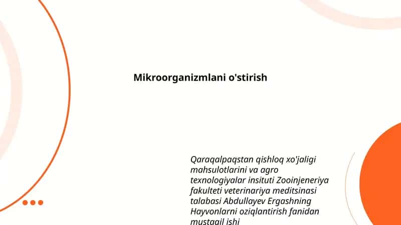 Mikroorganizmlani o'stirish