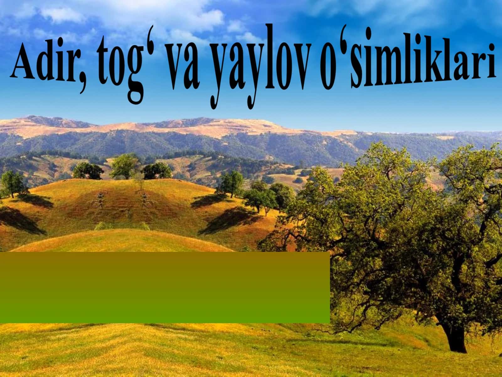 O'rta Osiyo adir, tog‘ va yaylov o‘simliklari