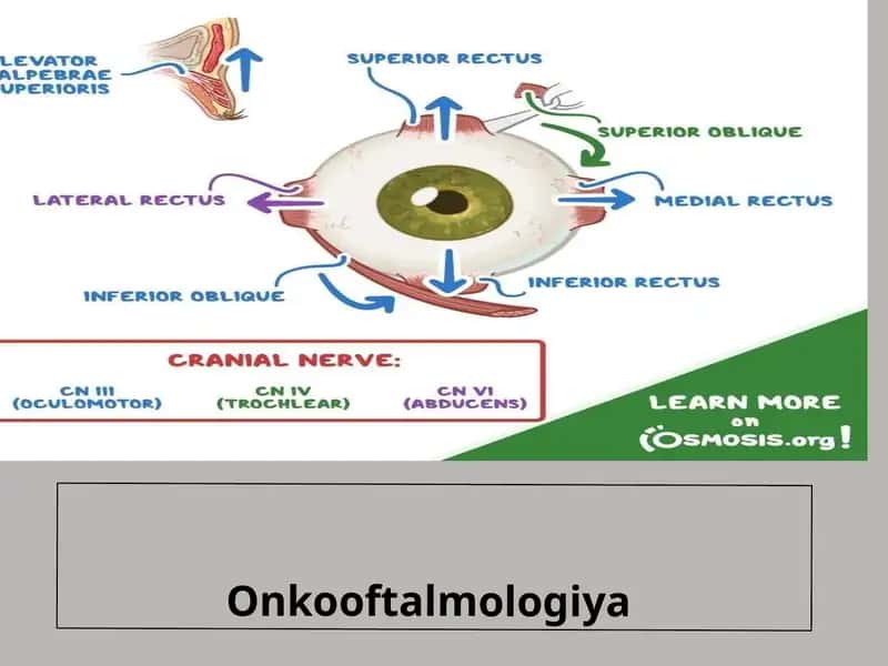 Onkooftalmologiya