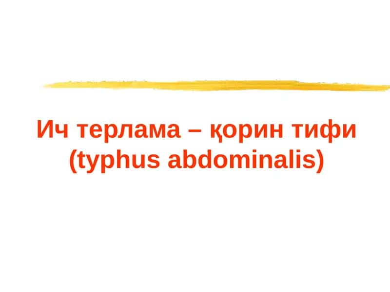 Ич терлама – қорин тифи (typhus abdominalis)