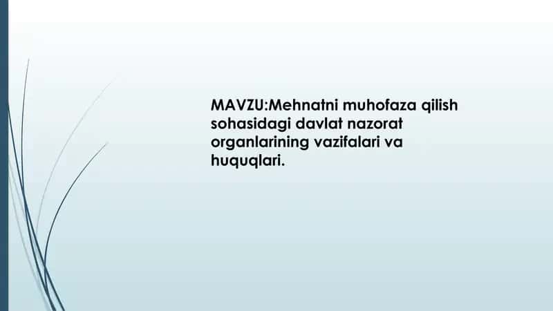 Davlat nazorati mehnat sohasida